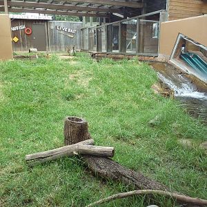 Children's Zoo - River Otter Exhibit