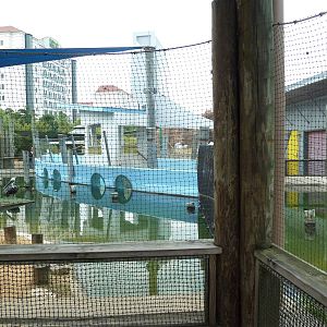 Children's Zoo - Brown Pelican Exhibit