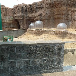 Children's Zoo - Prairie Dog Exhibit