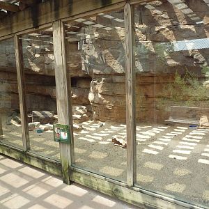 Children's Zoo - Swift Fox Exhibit