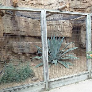 Children's Zoo - Roadrunner Exhibit