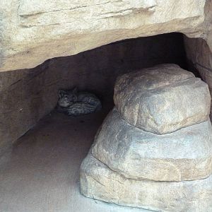 Children's Zoo - Swift Fox Statue