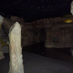 Children's Zoo - Bat Cave