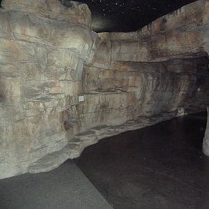 Children's Zoo - Bat Cave