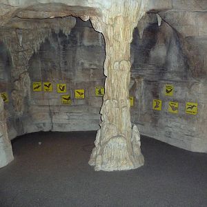 Children's Zoo - Bat Cave