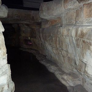 Children's Zoo - Bat Cave