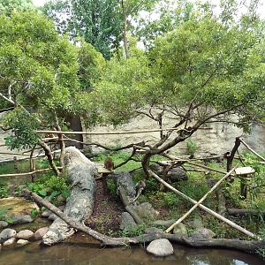 World Of Primates - Mixed-Species Exhibit