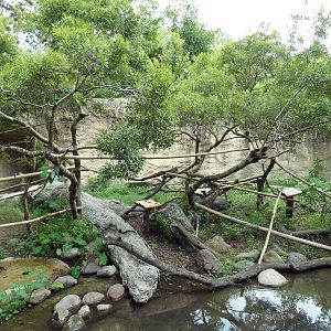 World Of Primates - Mixed-Species Exhibit