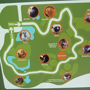 World Of Primates - Map