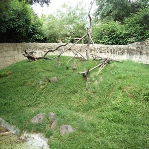 World Of Primates - Patas Monkey Exhibit