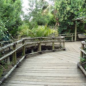 World Of Primates - Boardwalk