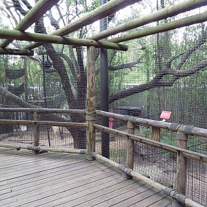 World Of Primates - Agile Gibbon/Siamang Exhibit