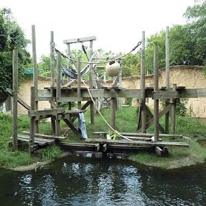 World Of Primates - Mixed-Species Exhibit