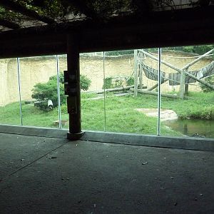 World Of Primates - Mixed-Species Exhibit