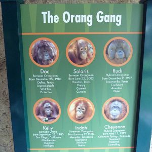 World Of Primates - Orangutan Signage