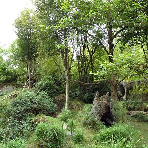 Red-Flanked Duiker/Colobus Monkey Exhibit