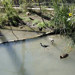 Kennecott Wetlands Immersion Experience Exhibit
