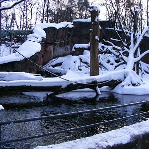20101228 Papio papio enclosure