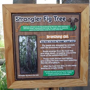 Giants Of The Savanna - Signage