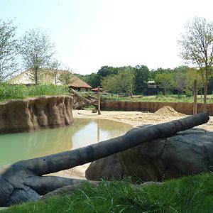 Giants Of The Savanna