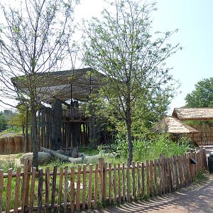 Giants Of The Savanna