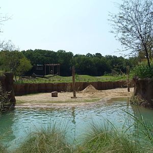 Giants Of The Savanna