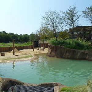 Giants Of The Savanna