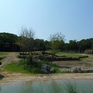 Giants Of The Savanna
