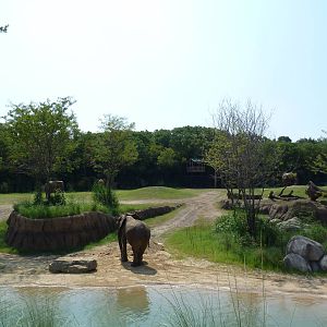 Giants Of The Savanna