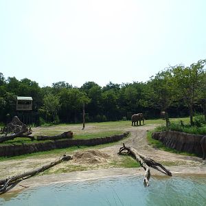 Giants Of The Savanna