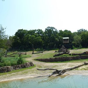 Giants Of The Savanna