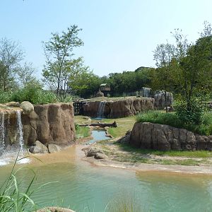 Giants Of The Savanna