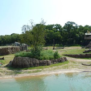 Giants Of The Savanna