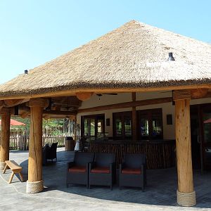 Giants Of The Savanna