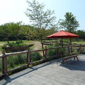 Giants Of The Savanna