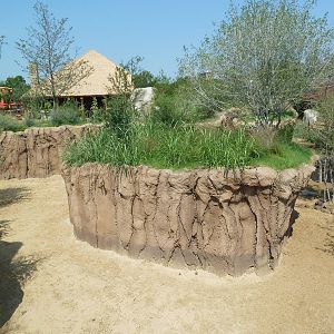 Giants Of The Savanna