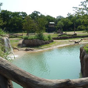 Giants Of The Savanna