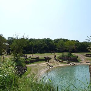 Giants Of The Savanna