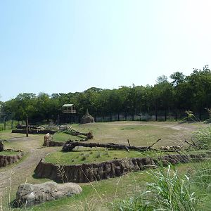 Giants Of The Savanna