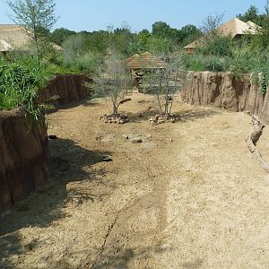 Giants Of The Savanna