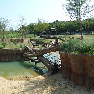 Giants Of The Savanna