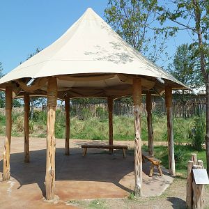 Giants Of The Savanna