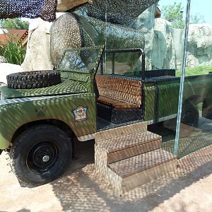 Giants Of The Savanna - Cheetah Exhibit