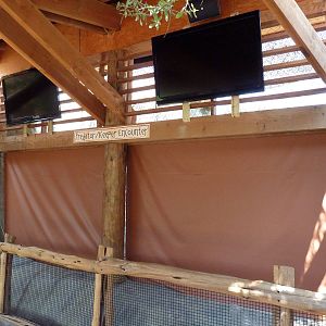 Giants Of The Savanna