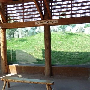 Giants Of The Savanna