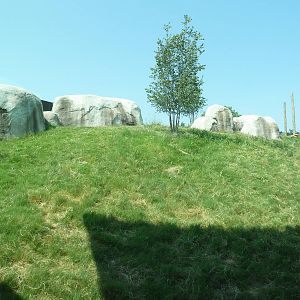 Giants Of The Savanna