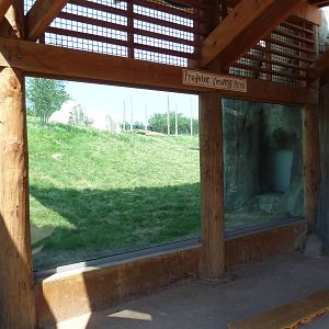 Giants Of The Savanna