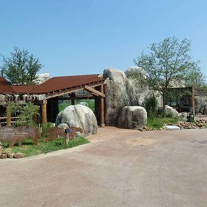 Giants Of The Savanna