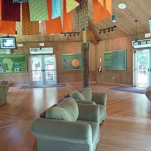 Gorilla Exhibit - Viewing Area