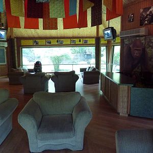 Gorilla Exhibit - Viewing Area